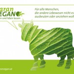 PR Bild Maran Vegan, Werbesujet Kuh