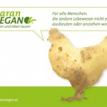 PR Bild Maran Vegan, Werbesujet Huhn