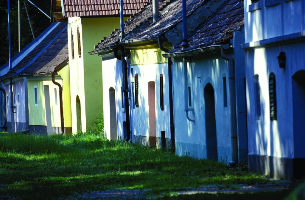 Lössfrühling PR Bild Absdorfer Kellergasse