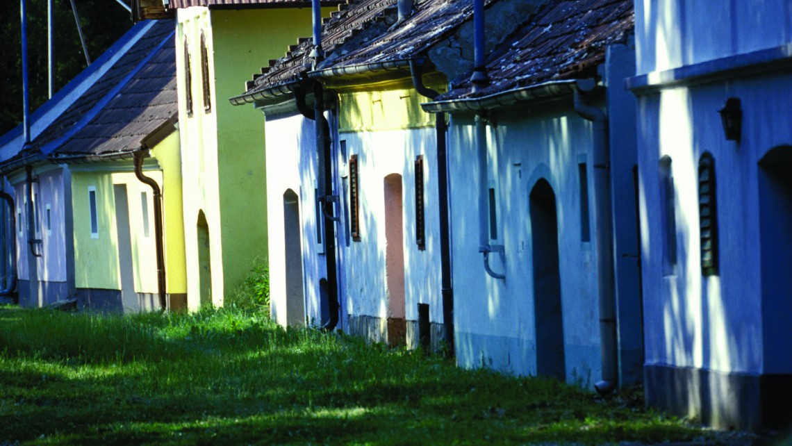 Lössfrühling PR Bild Absdorfer Kellergasse