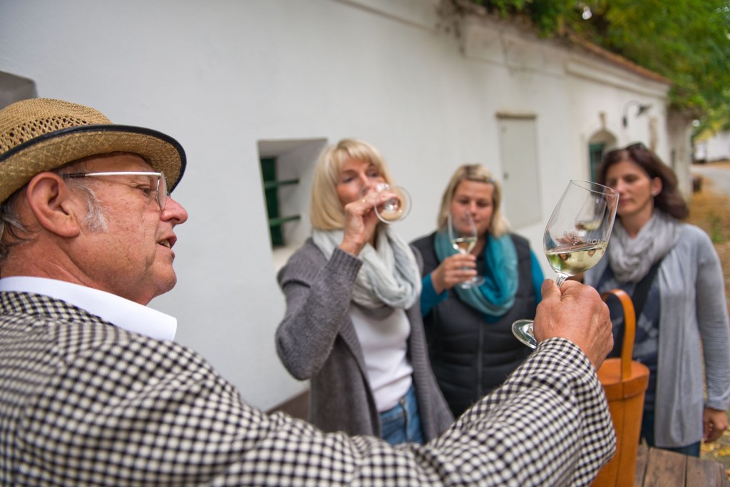 PR Bild Vino Versum Poysdorf Kellergassenführung und Weinverkostung © Vino Versum Poysdorf, Michael Loizenbauer