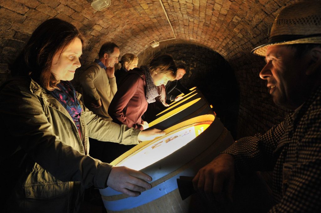 Vino Versum Poysdorf Erlebniskellergassenführung Weinviertel Tourismus © Andrea Capella