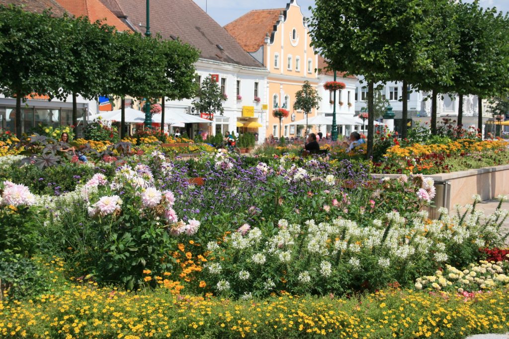 Pressebild Gartenfestwochen Tulln Hauptplatz Tulln © Stadtgemeinde Tulln