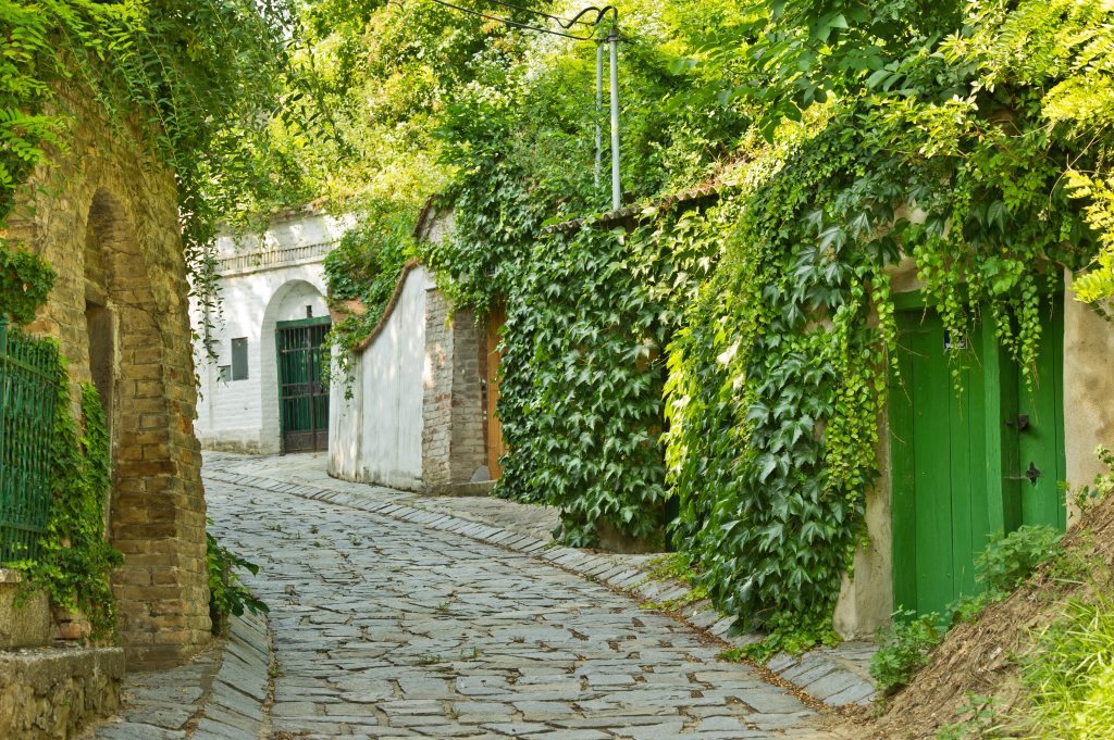 Weinviertel Donauraum - Kellergasse Enzersfeld © Weinviertel Tourismus