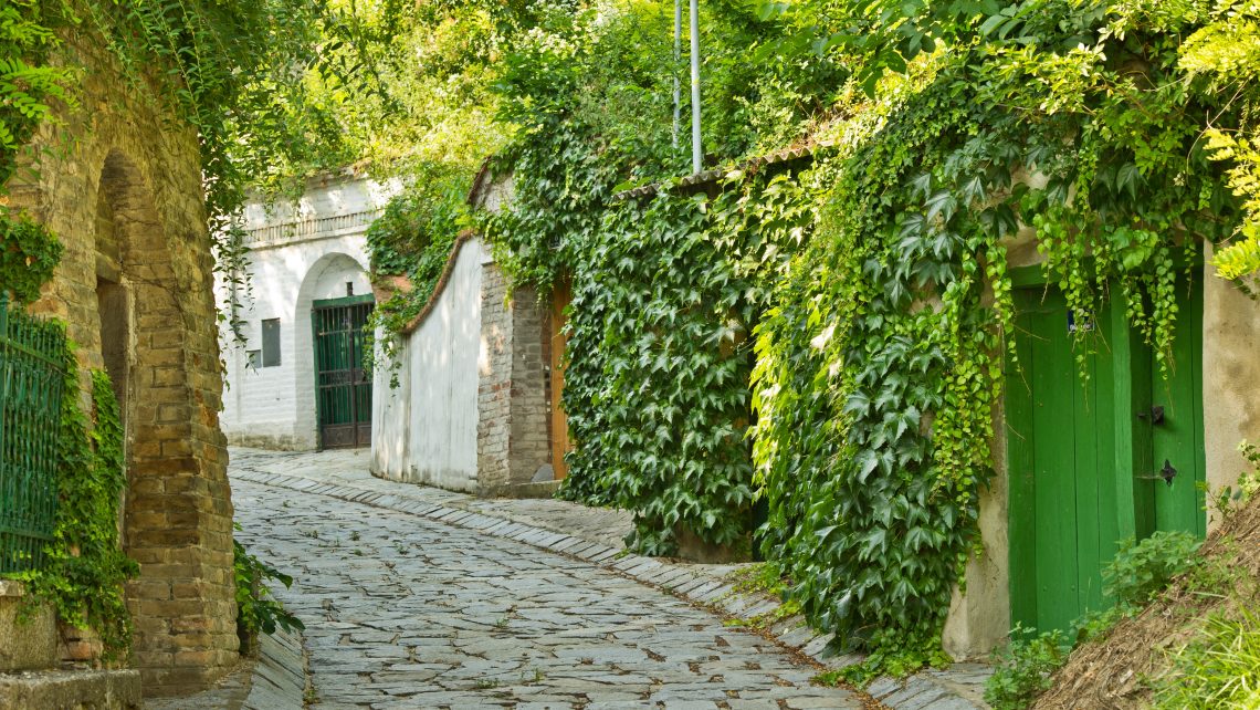 Weinviertel Donauraum - Kellergasse Enzersfeld © Weinviertel Tourismus