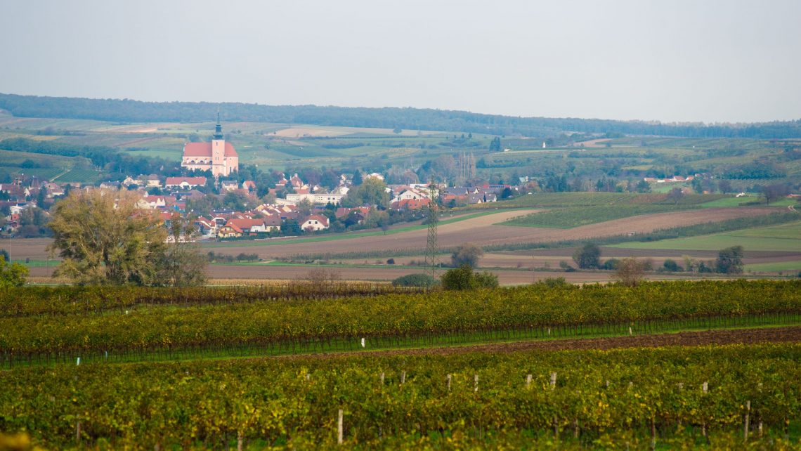 Vino Versum Poysdorf Tourismus Poysdorf