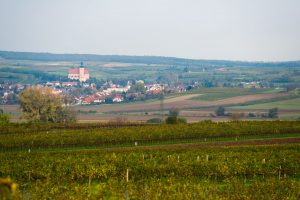 Vino Versum Poysdorf Tourismus Poysdorf