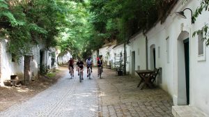 PR Bild Vino Versum Poysdorf Tourismus Radweg in der Poysdorfer Kellergasse