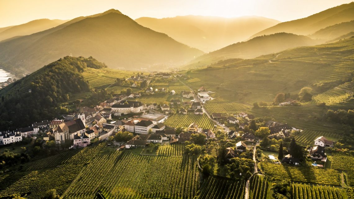 PR Bild Vinea Wachau Ried Schlossgarten © Robert Herbst