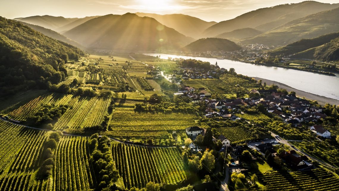 PR Bild Vinea Wachau Ried Thal und Hoferthal © Robert Herbst