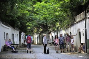 Kellergassen, Kellergassenführung, Poysdorf, Tourismus