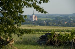 Weinstadt Poysdorf, Weinberg, Wanderung, Tourismus