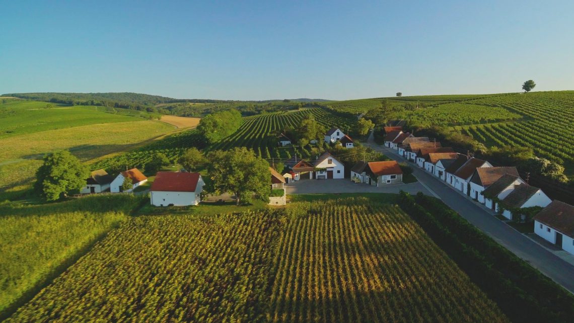 Kellergasse Grundern in Kleinhadersdorf © Vino Versum Poysdorf Tourismus